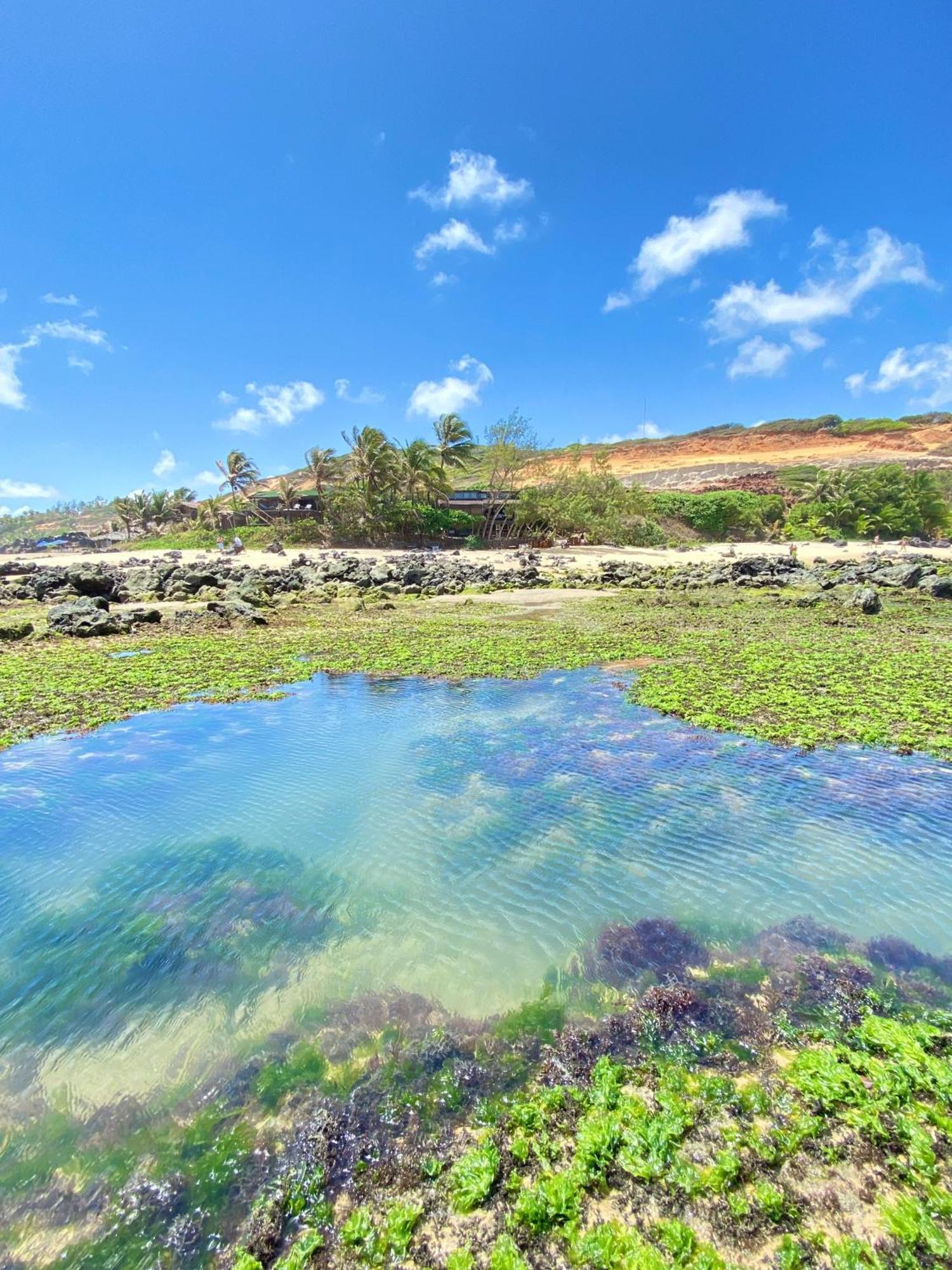 Pousada Paraiso Das Tartarugas Praia de Pipa 외부 사진